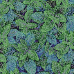 Tissu Kaffe Fassett - Fittonia green