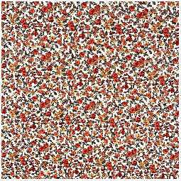 Tissu coton - Léonie Orange