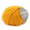 Primo de Plassard : couleurs - 42 Jaune