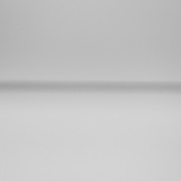 Tissu jersey sweat uni - Blanc