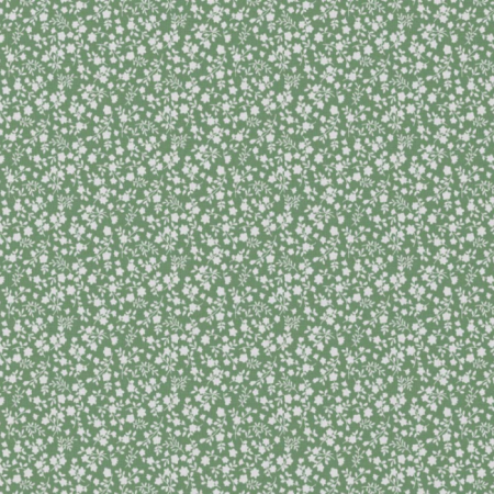 Tissu coton enduit - Suzette vert blanc Tissu coton enduit - Suzette vert blanc