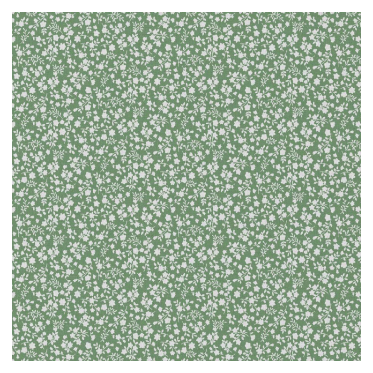 Tissu coton enduit - Suzette vert blanc