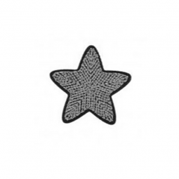 Écusson thermocollant - Étoile argent