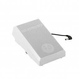 Câble et rhéostat machine Bernina Aurora série 4/5/6