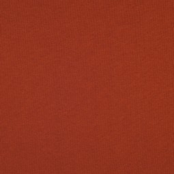 Tissu jersey sweat - Rust