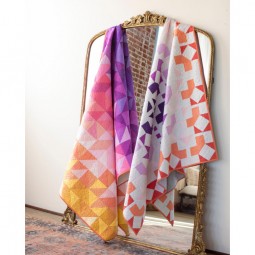 Livre - Quilts in modern color d'Amber Elliot