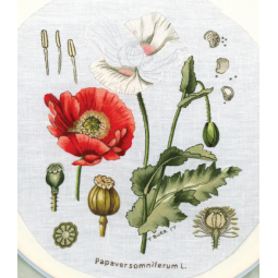 Livre - Le grand livre des fleurs brodées