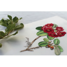 Livre - Le grand livre des fleurs brodées