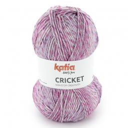 Cricket de Katia