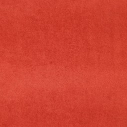 Tissu jersey éponge - Terra