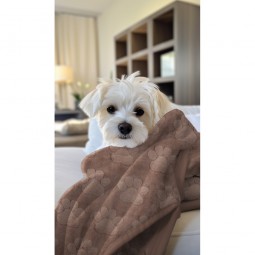 Tissu polaire doudou - Patte de chien