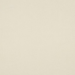 Tissu micro polaire - Ecru