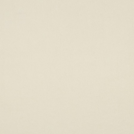 Tissu micro polaire - Ecru