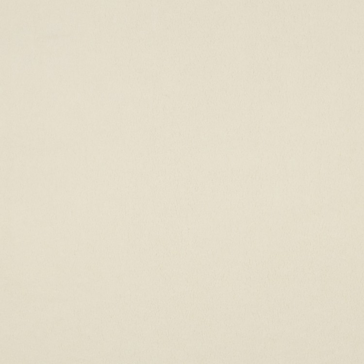 Tissu micro polaire - Ecru