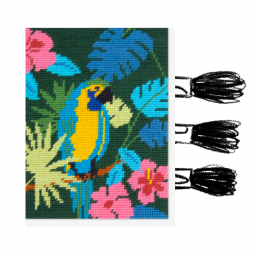 Kit de canevas DMC - Perroquet