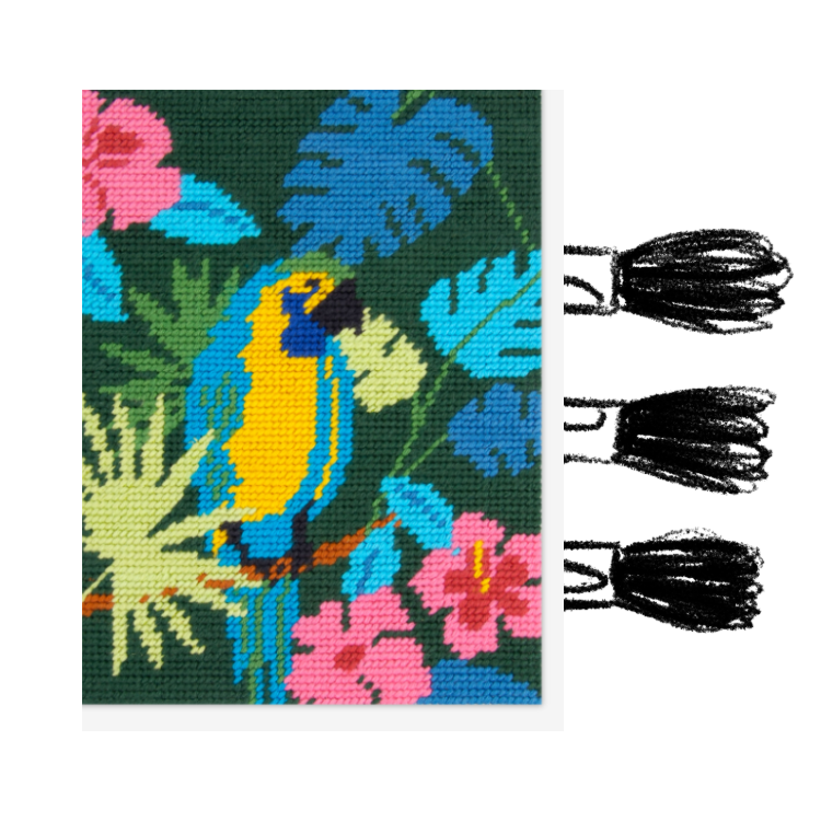 Kit de canevas DMC - Perroquet