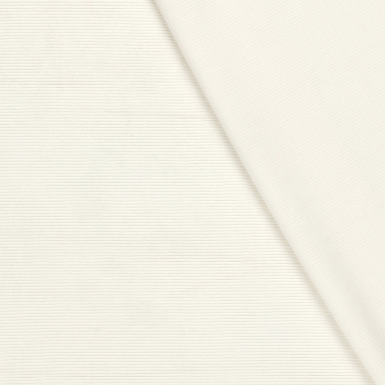 Tissu jersey velours côtelé - Ecru