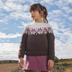 Kit de tricot - Pull jacquard - Basic merino