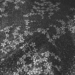 Tissu maille lurex - Black silver floral