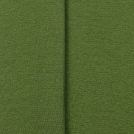 Tissu Bord-côte biologique - Vert cornichon