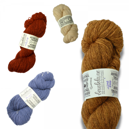 Ouessant de Bouclelaine