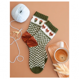 Livre - Le guide des chaussettes au tricot jacquard