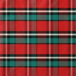 Tissu polaire doudou double face - Gustave rouge et vert