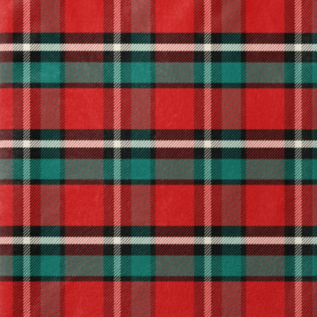 Tissu polaire doudou double face - Gustave rouge et vert