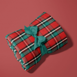 Tissu polaire doudou double face - Gustave rouge et vert