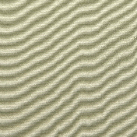 Tissu Bord-côte biologique - Vert forêt