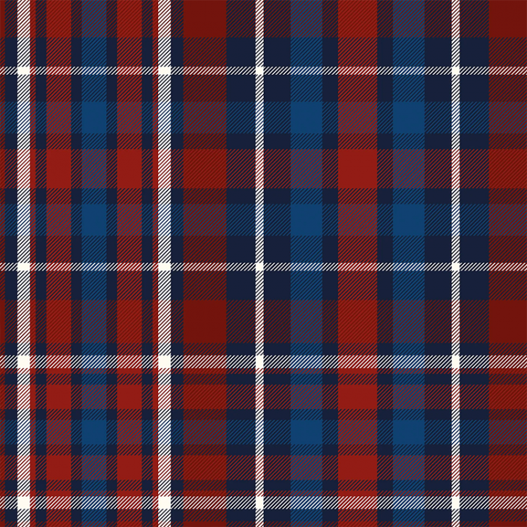 Tissu flanelle - Carreaux rouge et bleu