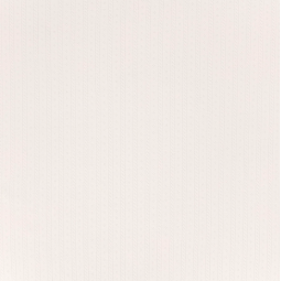 Tissu jersey coton pointelle - Blanc cassé