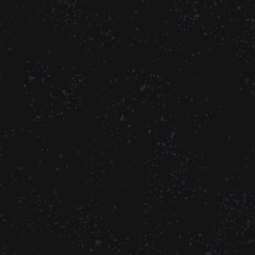 Tissu Ruby Star Society - Speckled - Onyx