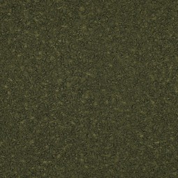 Lainage - Bouclettes vert forêt