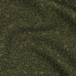 Lainage - Bouclettes vert forêt