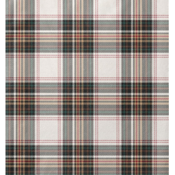 Tissu polaire doudou double face - Norwy écru noir