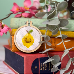 Kit de broderie -Pour la beauté du zeste