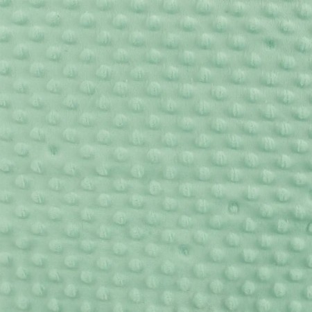 Tissu minky - Dots menthe