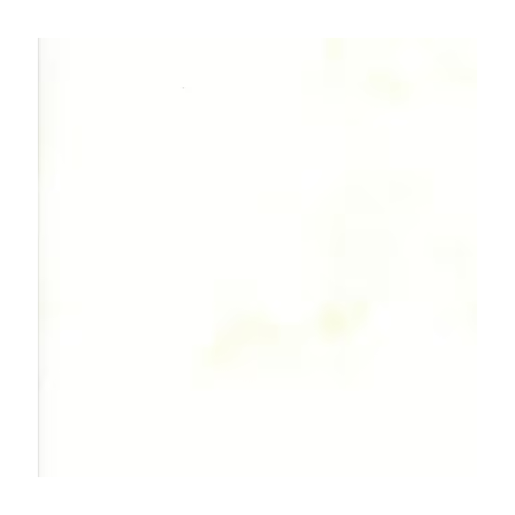 Tissu Moda - Grunge - White