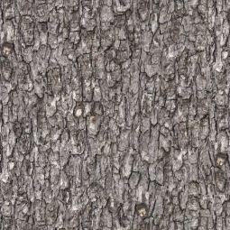 Tissu patchwork - Landscape medley - Écorce