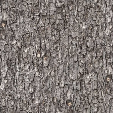 Tissu patchwork - Landscape medley - Écorce