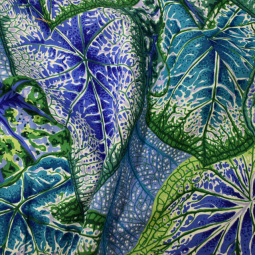 Tissu Kaffe Fassett - Caladiums