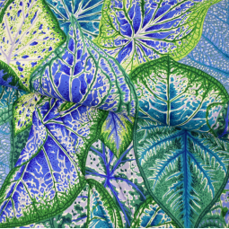 Tissu Kaffe Fassett - Caladiums