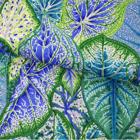 Tissu Kaffe Fassett - Caladiums
