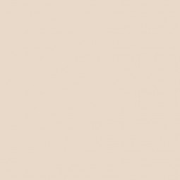 Art Gallery Fabrics - Flannel solids - Sandstone