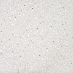 Tissu Broderie - Liza blanc