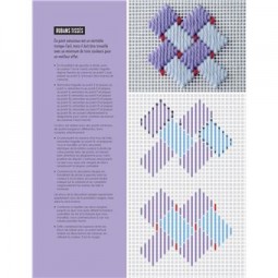 Livre - Broderie sur canevas