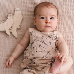 Tissu Katia fabrics - Sweat - Sea Lions Swimming