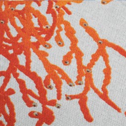 Tissu coton enduit - Caledonie