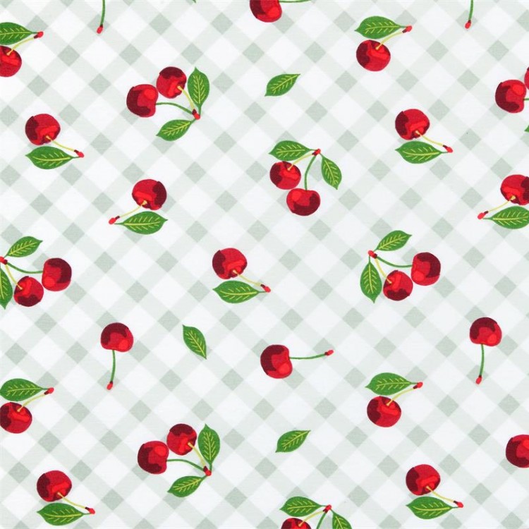 Tissu enduit - Brigitte